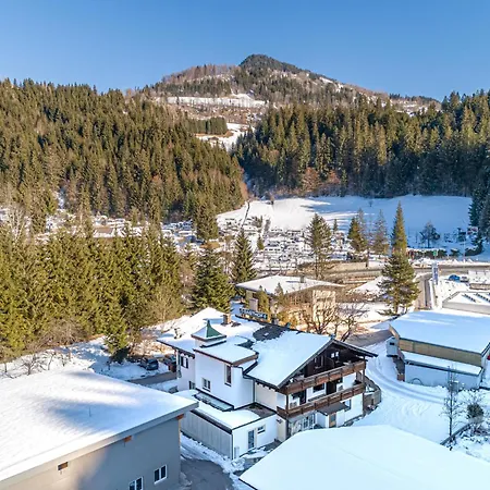 Grieswirt Ferienhaus *